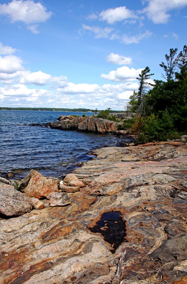 Wreck Island Shore X by Deb Oppermann
